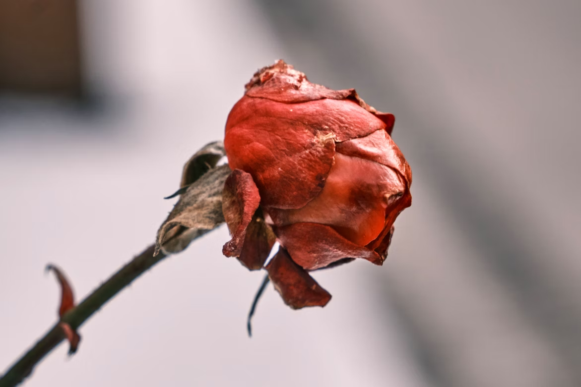 funeral homes in Tulsa, OK