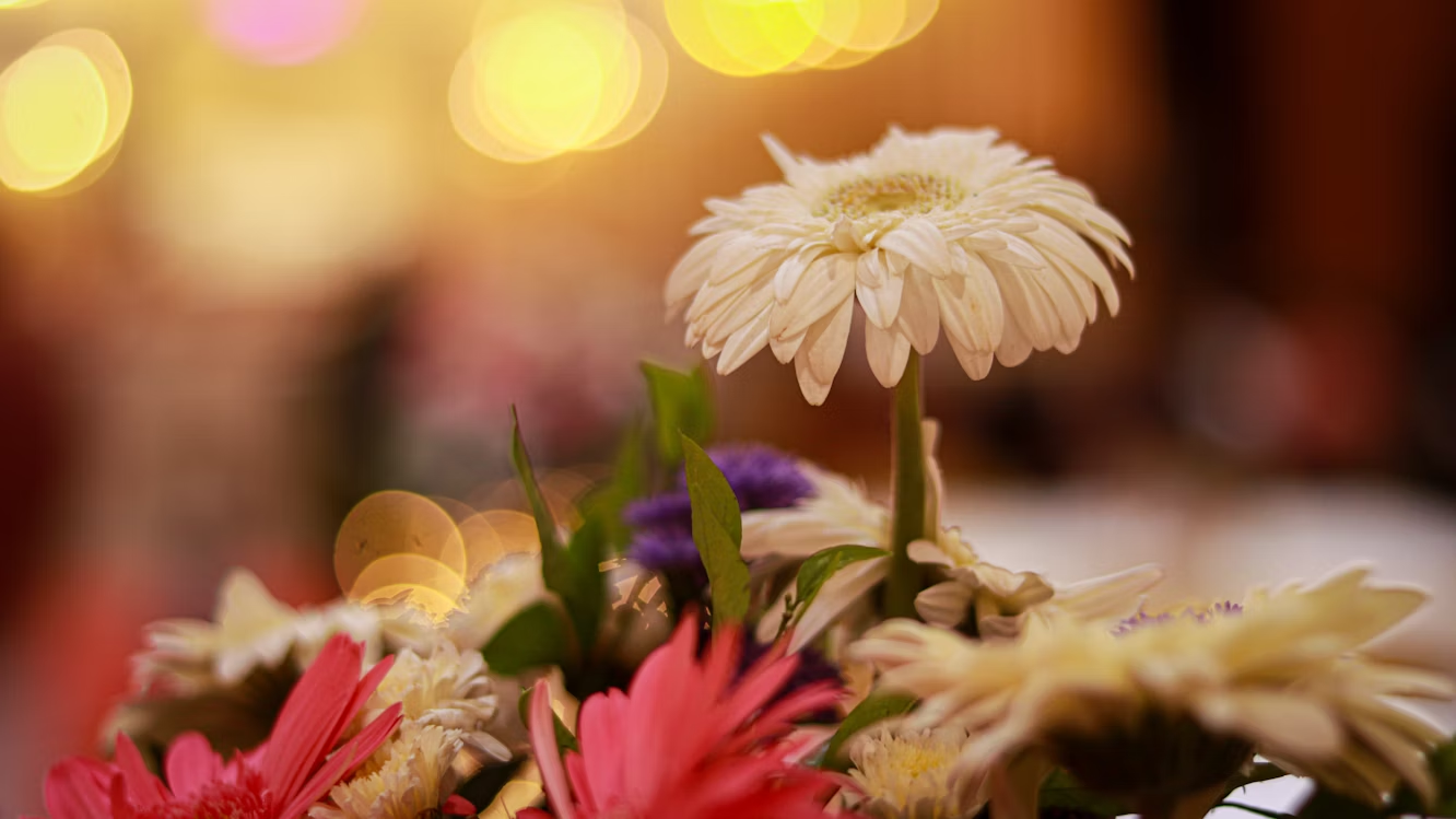 funeral homes in Tulsa, OK