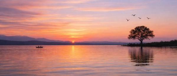lone tree, boat, birds, and distant mountains reflecting peaceful cremation services Tulsa, OK