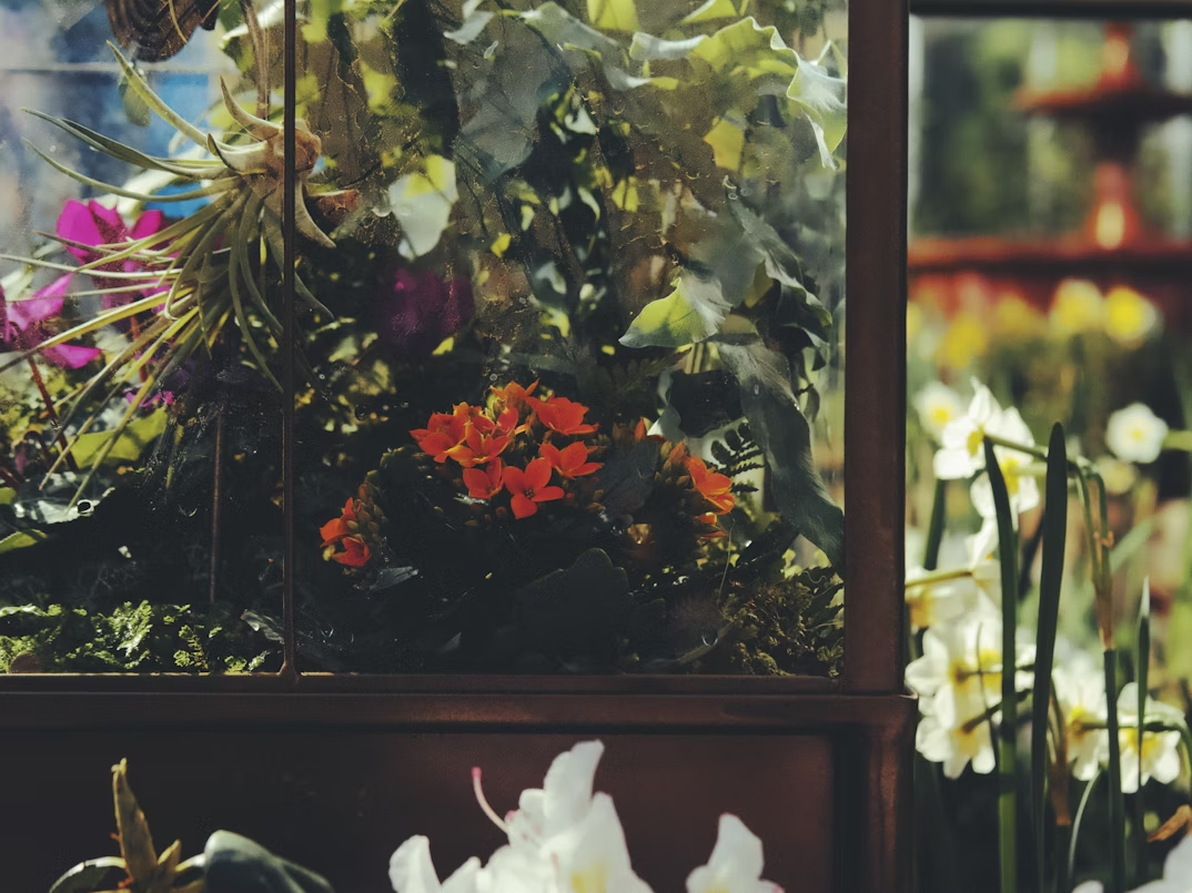 funeral homes in Tulsa OK