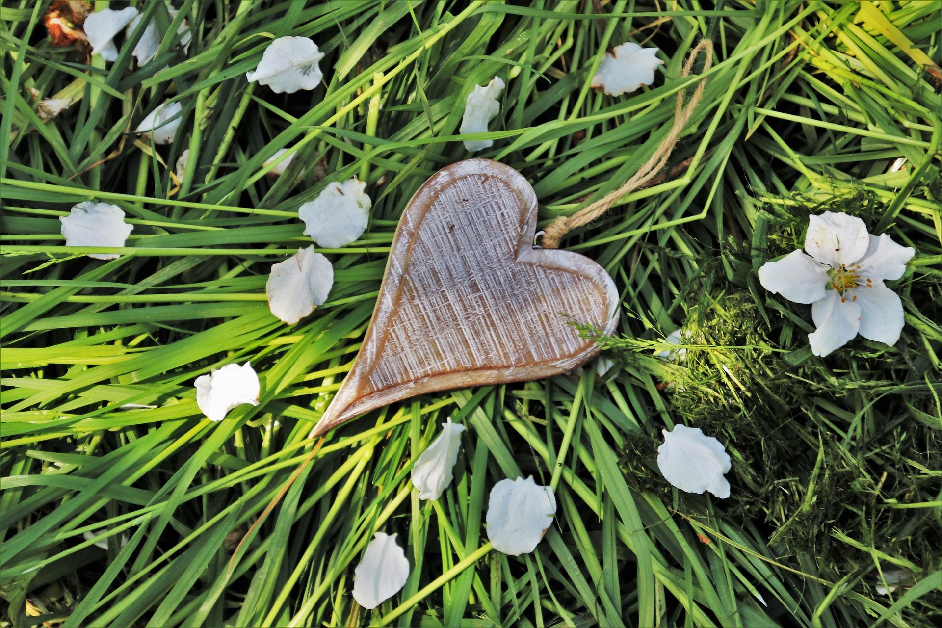 Heart-shaped wicker decoration on green grass with scattered white flowers and petals