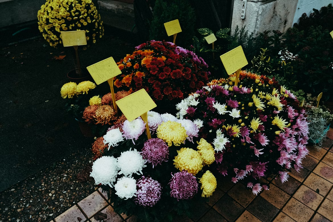 cremation services in Tulsa OK